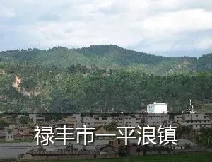 禄丰市一平浪镇