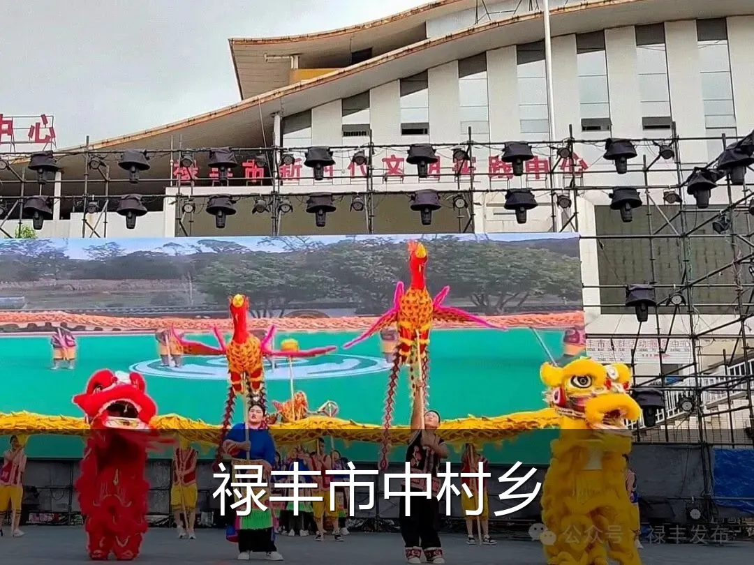 禄丰市中村乡