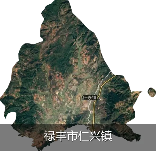 禄丰市仁兴镇