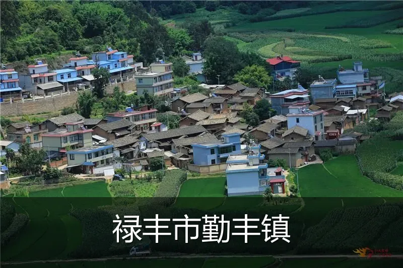 禄丰市勤丰镇