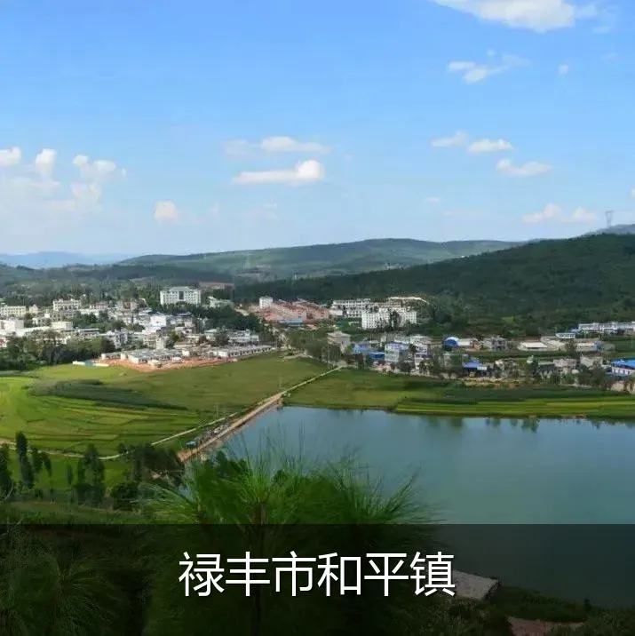 禄丰市和平镇