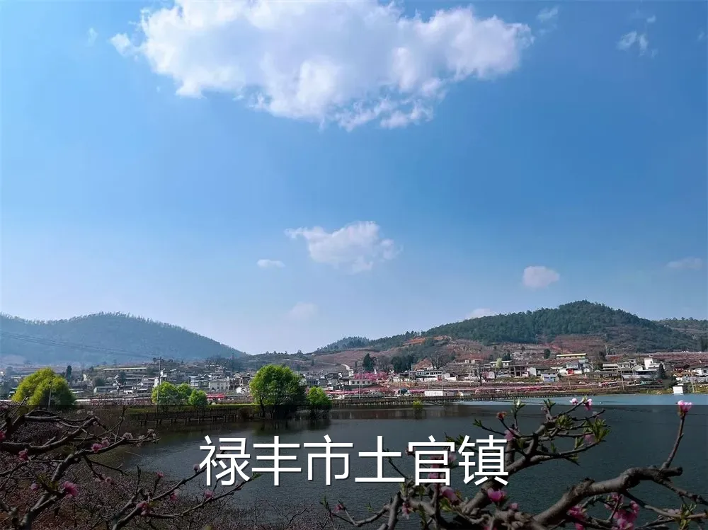 禄丰市土官镇