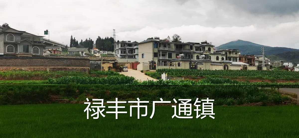 禄丰市广通镇