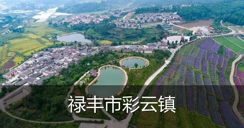 禄丰市彩云镇