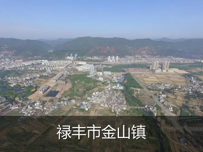 禄丰市金山镇