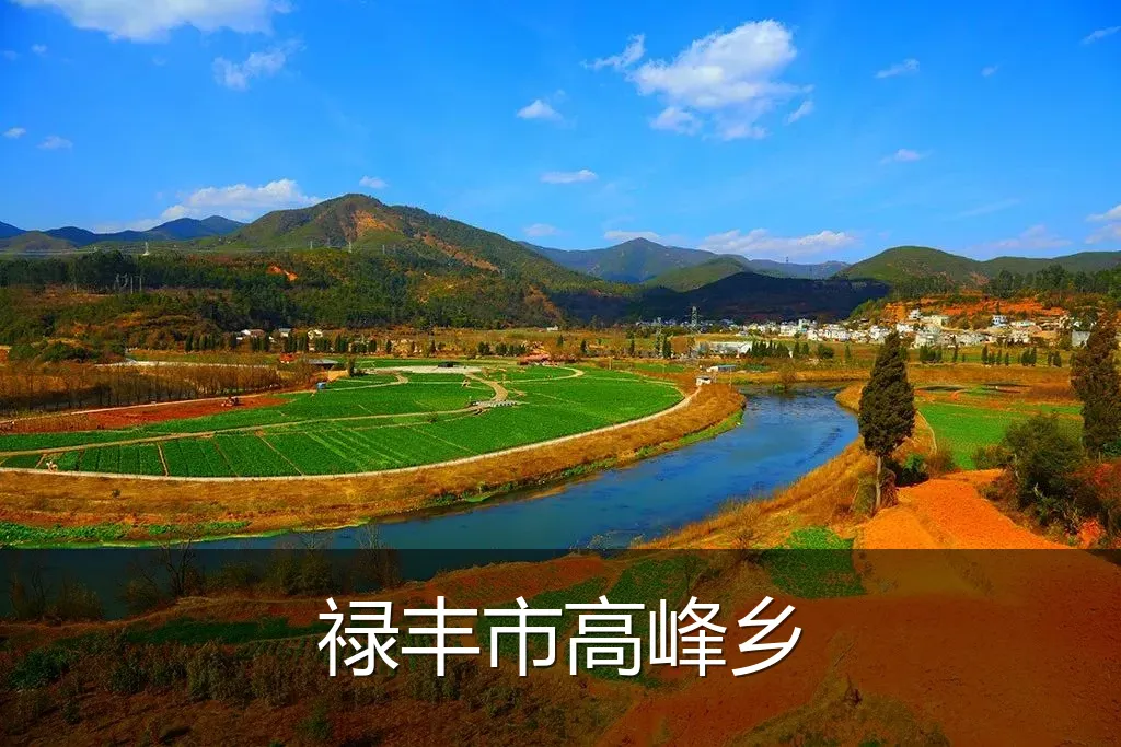 禄丰市高峰乡